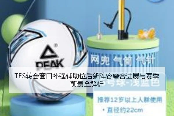 TES转会窗口补强辅助位后新阵容磨合进展与赛季前景全解析 - KAIYUN